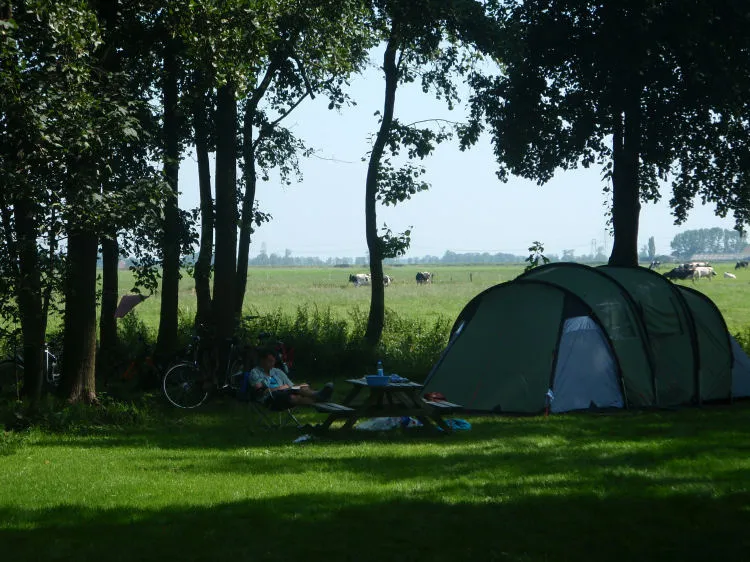 Kampeerplaats met tent en Fries weiland op de achtergrond