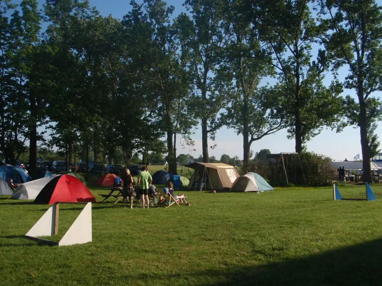 Kampeerveld met tenten onder de bomen