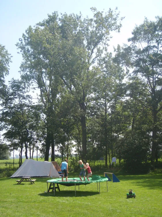 Kinderen spelen op de trampoline naast de camping