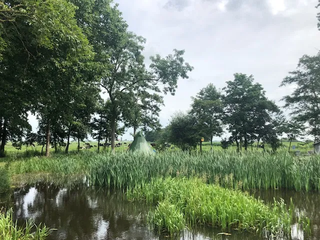Kampeerveld in de avondzon