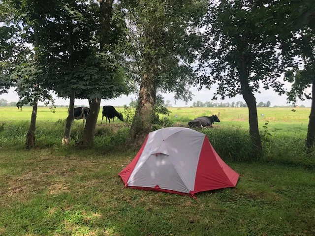 Sfeer op het kampeerveld bij De Koaipleats