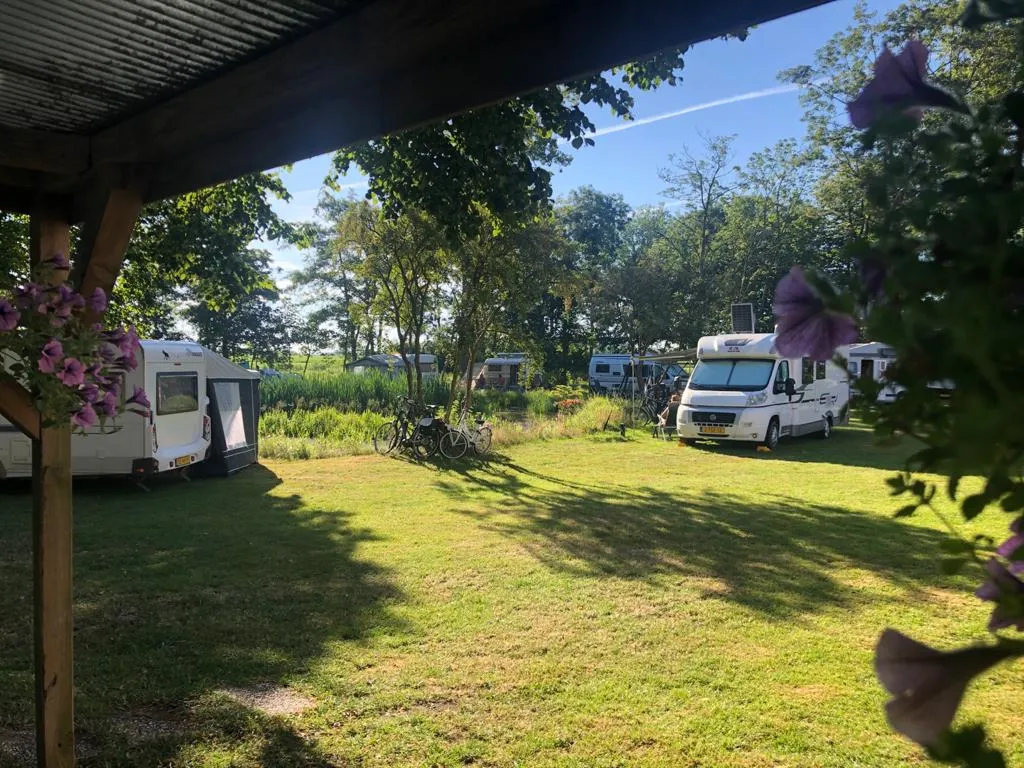 Sfeer op camping De Koaipleats